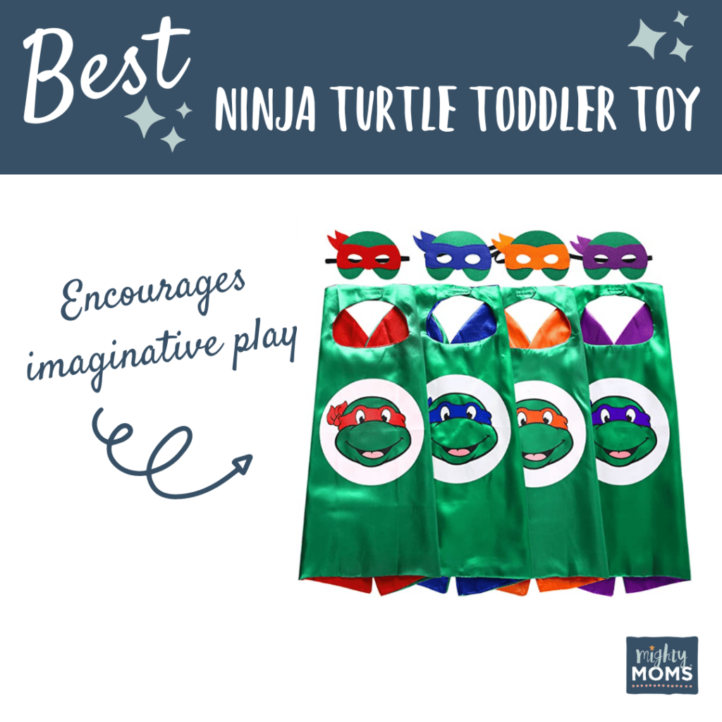 Best Ninja Turtle Toddler Toy